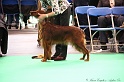 Crufts2011 316
